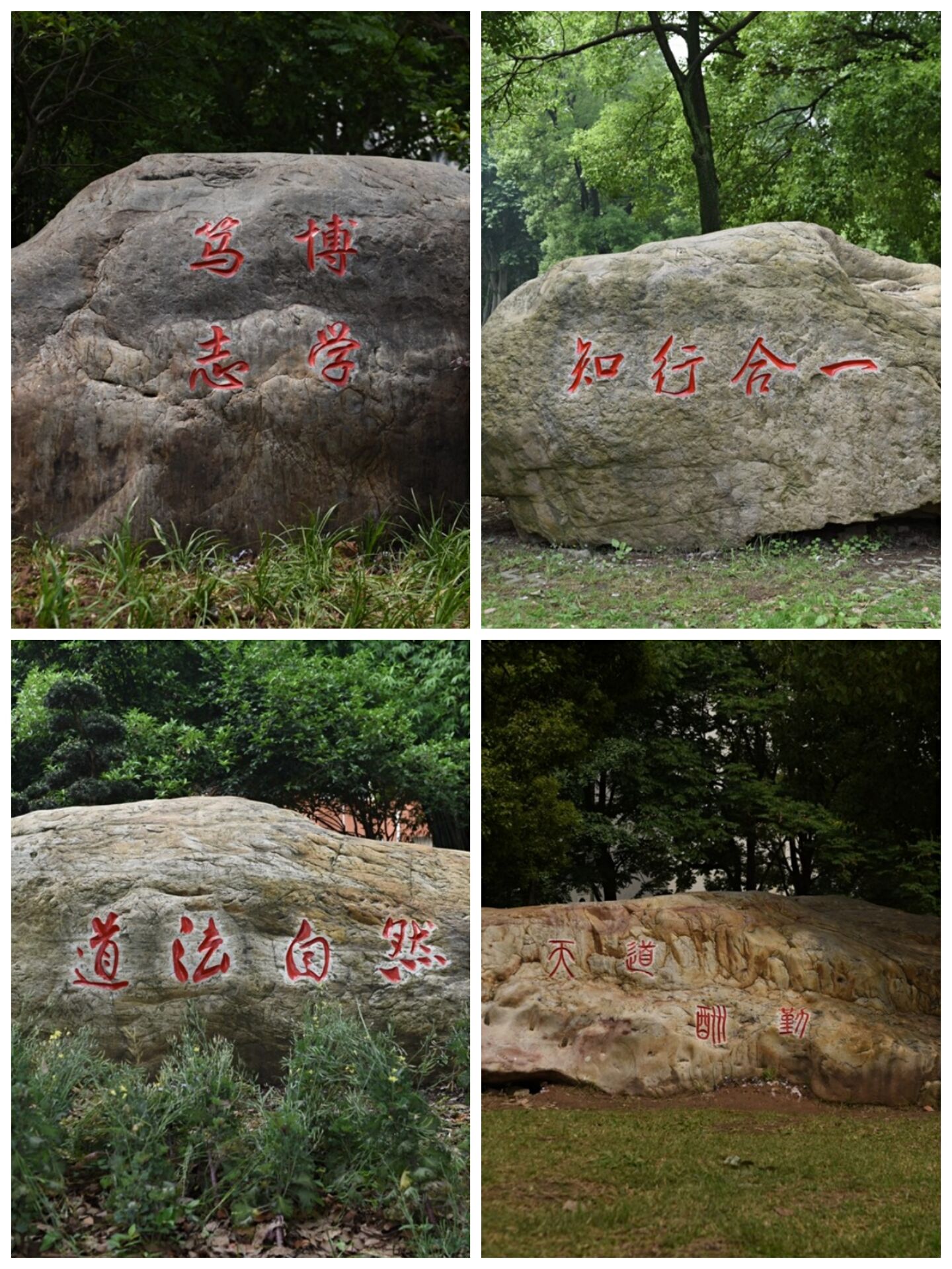 校园景观石命名征集活动顺利结束
